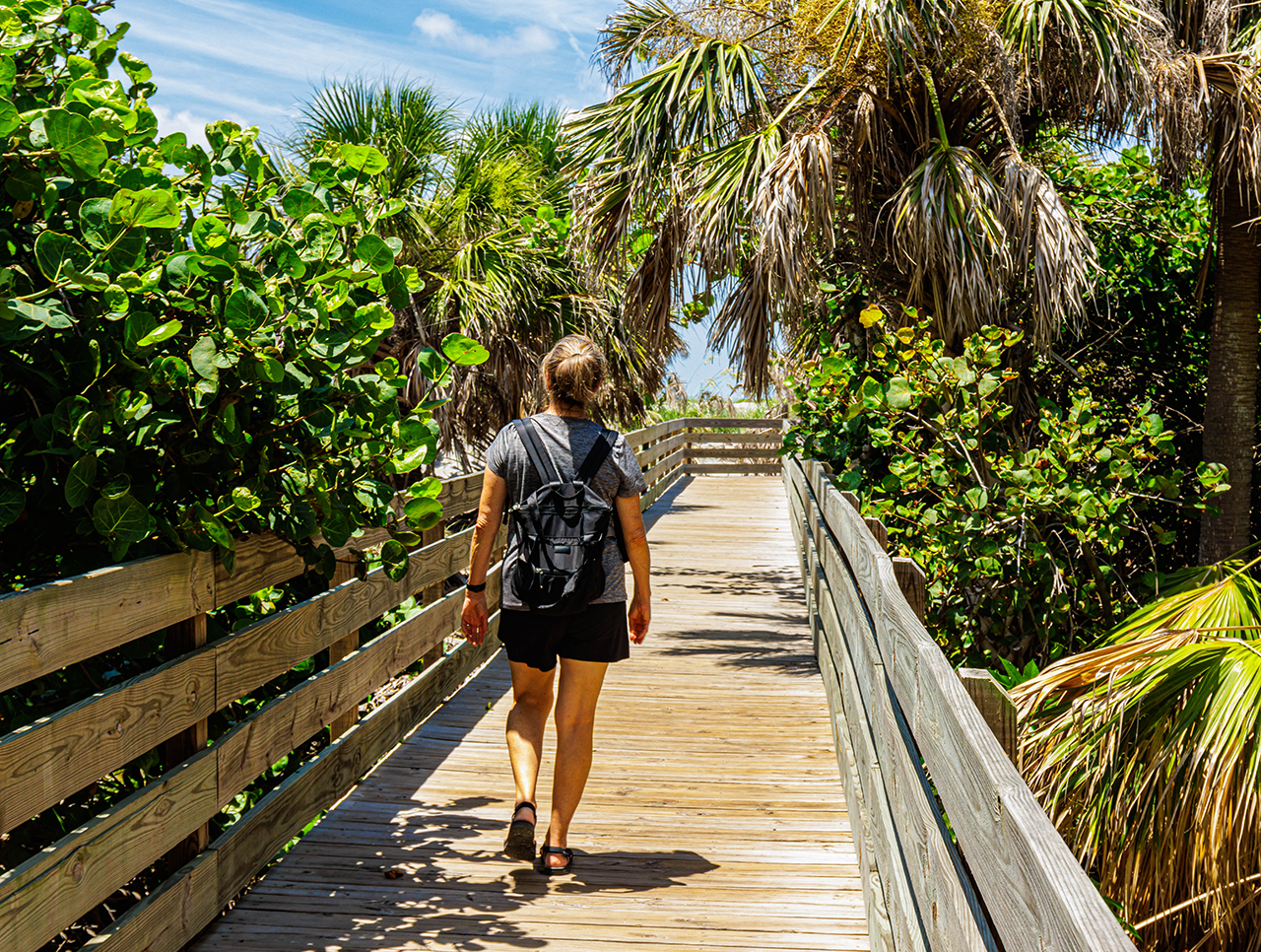 Tourist Walking on Wooden Boardwalk at Venice Beach, Venice, Florida